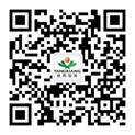图片包含 纵横字谜, 文字已生成极高可信度的说明
